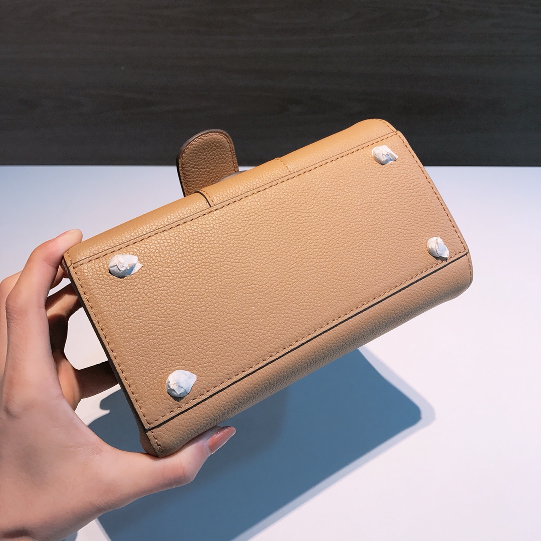 델보 브리앙 MM 토고백 스몰